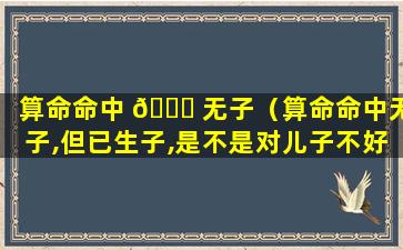 算命命中 🍁 无子（算命命中无子,但已生子,是不是对儿子不好呢）